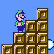 Luigi The Forgotten Adventure