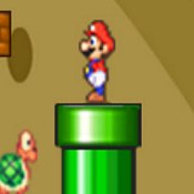 Mario Mushroom Adventure